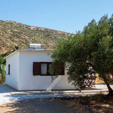 Flamingo Colour Valey House Villa Palekastro Exterior photo